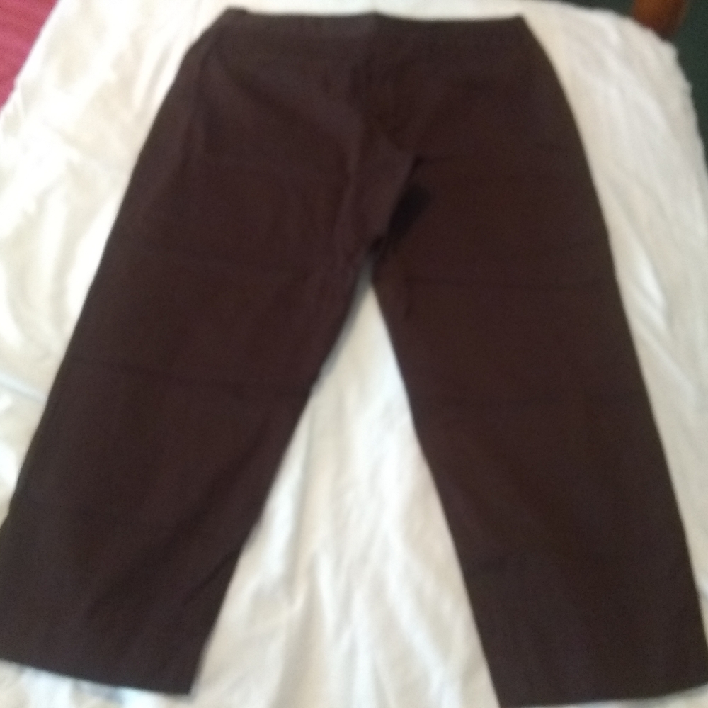 Ruby Rd Brown Ankle Pants Women's Size 14 P